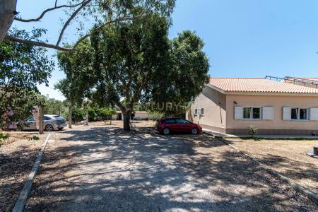 Palmela, セトゥーバル 2950-805, ポルトガル