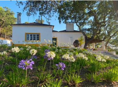 Mora, 埃武拉 7490-321, 葡萄牙