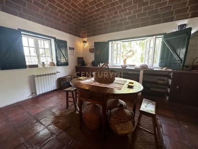 Mora, 埃武拉 7490-321, 葡萄牙