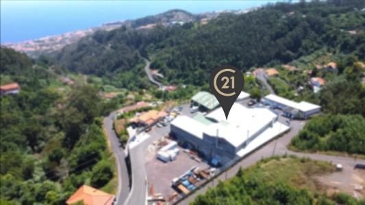 Santa Cruz, Madeira 9135-056, Portugal