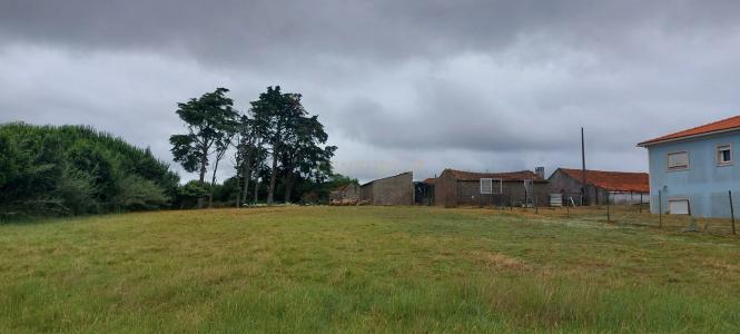 Alcobaça, Leiria 2460-352, Portugal