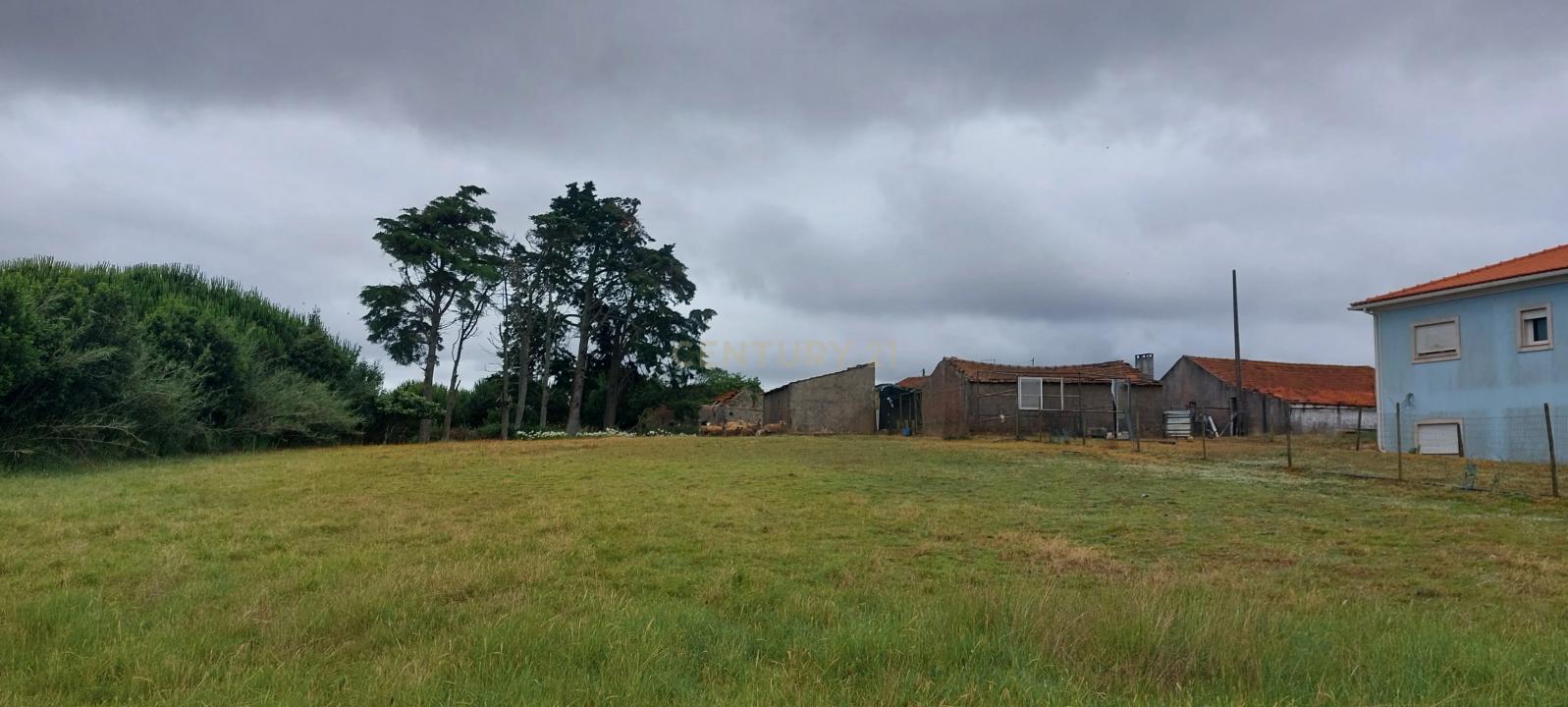 Alcobaça, Leiria 2460-352, Portugal