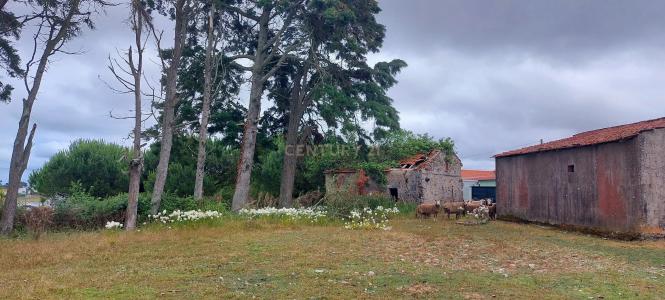 Alcobaça, Leiria 2460-352, Portugal
