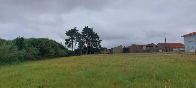 Alcobaça, Leiria 2460-352, Portugal