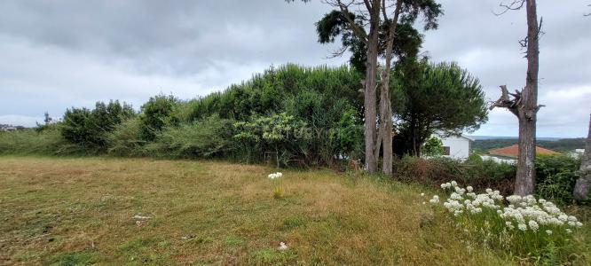 Alcobaça, Leiria 2460-352, Portugal
