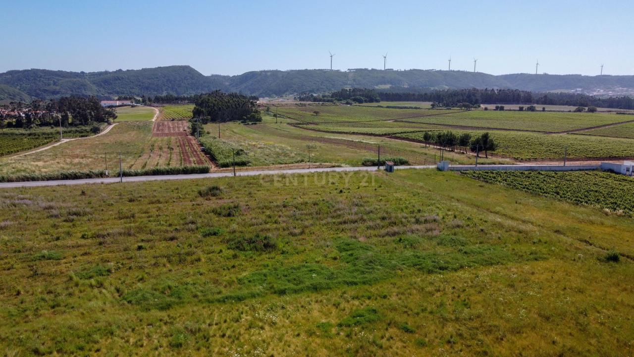 Bombarral, Leiria 2540-659, Portugal