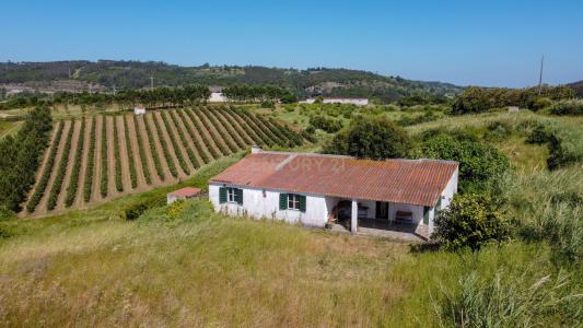 Bombarral, Leiria 2540-659, Portugal