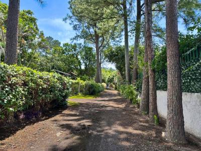 Santa Ana Centro Santa Ana Santa Ana, San José 10901, Costa Rica