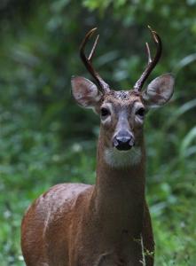 La Virgen Sarapiquí, Heredia 41005, Costa Rica