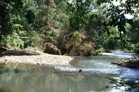 La Virgen Sarapiquí, Heredia 41005, Costa Rica