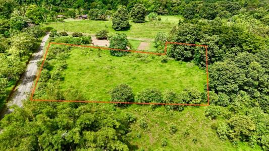 Puerto Jiménez Golfito, Puntarenas 00001, Costa Rica