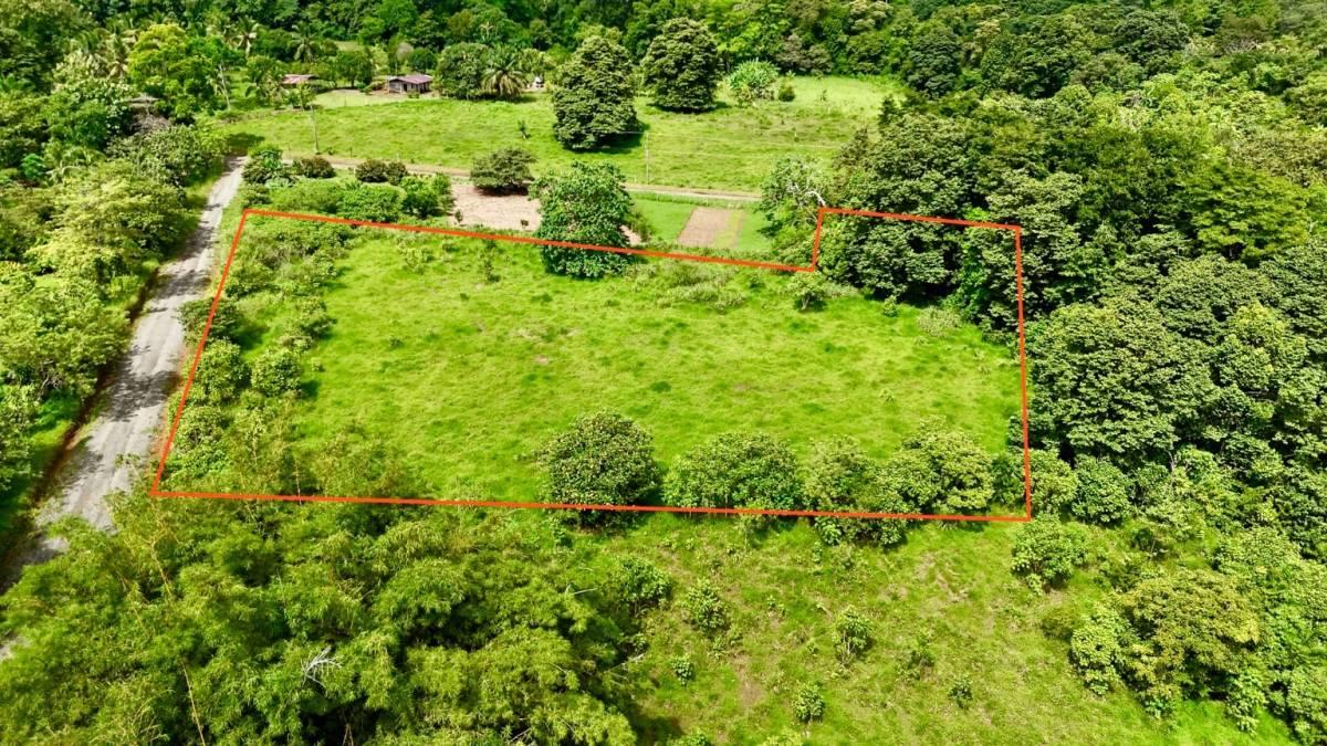 Puerto Jiménez Golfito, Puntarenas 00001, Costa Rica