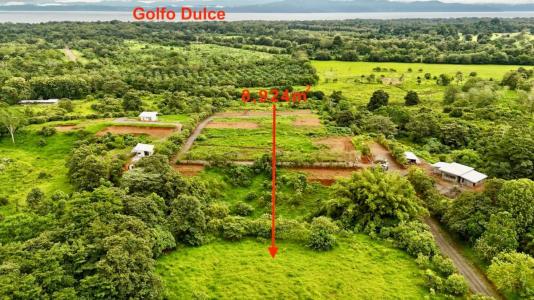 Puerto Jiménez Golfito, Puntarenas 00001, Costa Rica