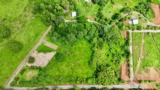 Puerto Jiménez Golfito, Puntarenas 00001, Costa Rica