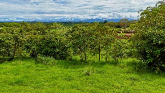 Puerto Jiménez Golfito, Puntarenas 00001, Costa Rica