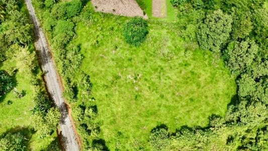 Puerto Jiménez Golfito, Puntarenas 00001, Costa Rica