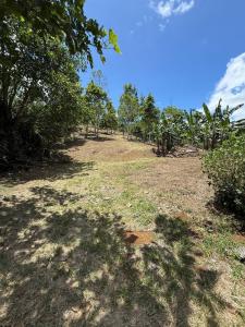 La Suiza Turrialba, Cartago 00001, Costa Rica