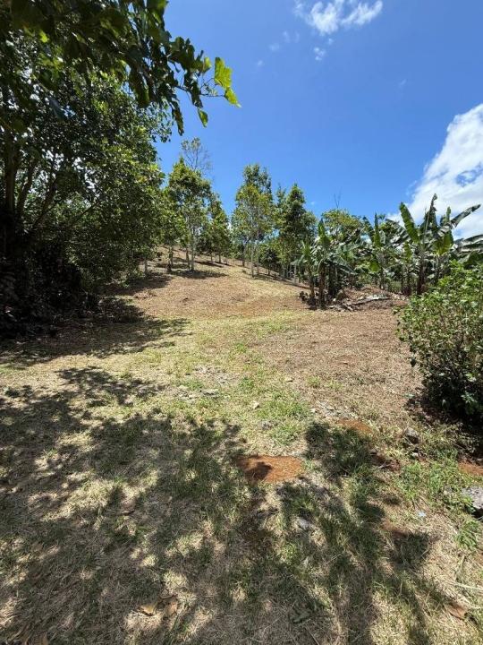 La Suiza Turrialba, Cartago 00001, Costa Rica