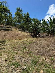 La Suiza Turrialba, Cartago 00001, Costa Rica