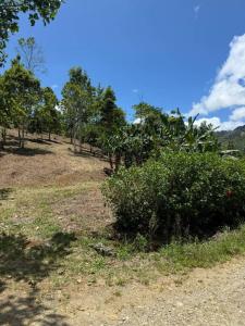 La Suiza Turrialba, Cartago 00001, Costa Rica