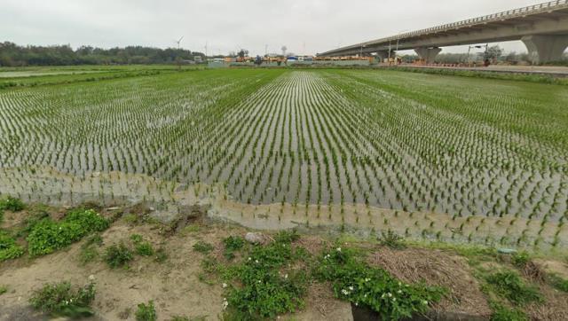 濱海路永興段, 新屋區, Taoyuan 327, Tajwan