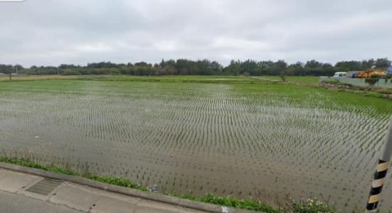 濱海路永興段, 新屋區, Taoyuan 327, Tajwan