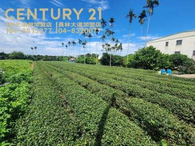 樟普寮段, Наньтоу, Уезд Наньтоу 540, Тайвань