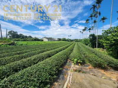 樟普寮段, Nantou, Nantou County 540, Taiwan