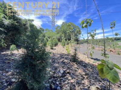 中崙段, Fenyuan Township, Changhua County 502, 대만