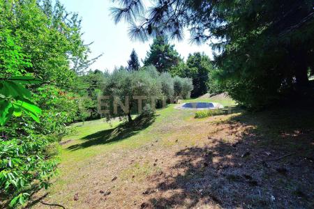 Frazione Colognora, Pescaglia, Toscana 55064, איטליה