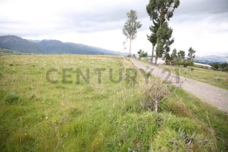 San Ana s/n, Cayambe, Pichincha 00001, Ecuador