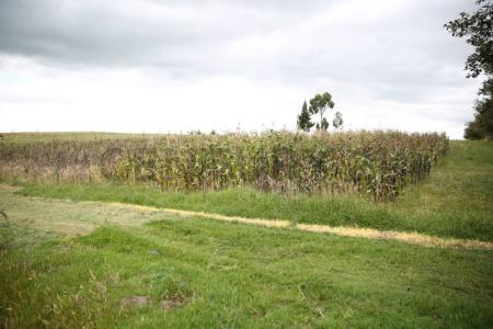 San Ana s/n, Cayambe, Pichincha 00001, Ecuador