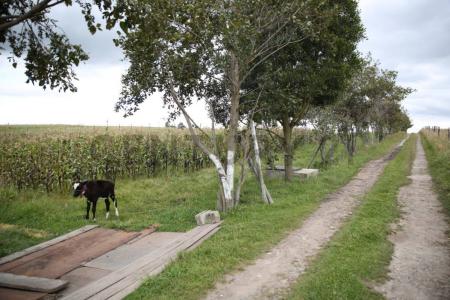 San Ana s/n, Cayambe, Pichincha 00001, Ecuador