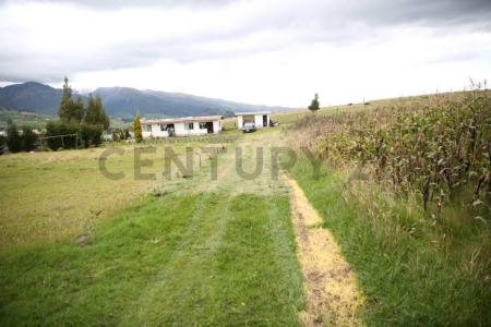 San Ana s/n, Cayambe, Pichincha 00001, Ecuador