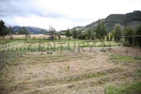 San Ana s/n, Cayambe, Pichincha 00001, Ecuador