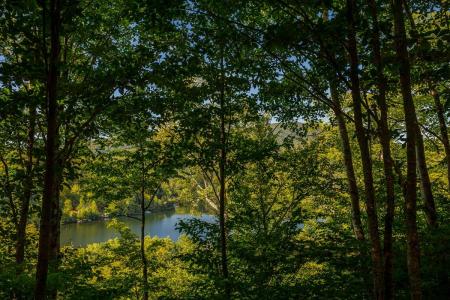 Rue des Floralies, Austin, Quebec J0B 1B0, Canada