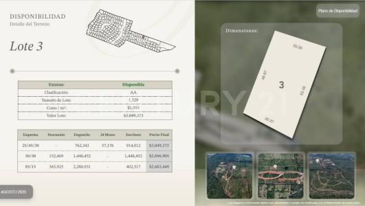 Montemorelos, Nuevo León 67608, Mexico