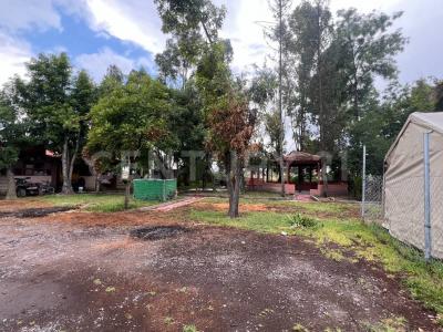 San Jose Iturbide, גואנחואטו 37988, מקסיקו 