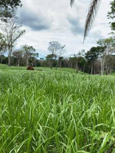 Norte, Santa Cruz 0000, Bolivia