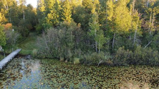 32118 E Gunn Lake Trail, Marcell, Minnesota 56657, Estados Unidos