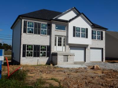 130 Diane Ct, Lebanon Junction, 肯塔基州 40150, 美國