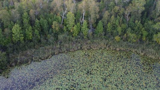 Parcel B E Gunn Lake Trl, Marcell, 明尼苏达州 56657, 美国