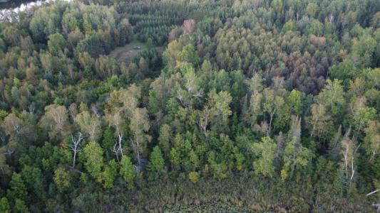 Parcel B E Gunn Lake Trl, Marcell, 明尼苏达州 56657, 美国