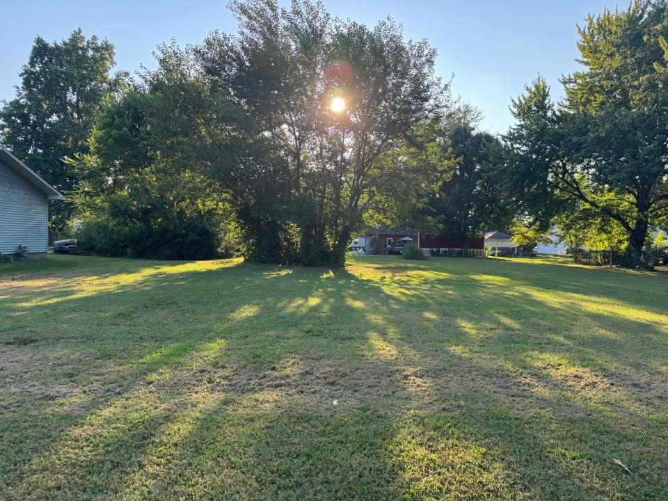 TBD North Van Buren Street, Litchifeld, 伊利诺斯州 62056, 美国