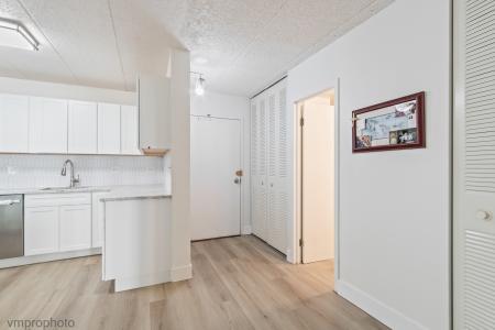 9128 W Terrace Drive , 2N, Niles, Illinois 60714, Estados Unidos