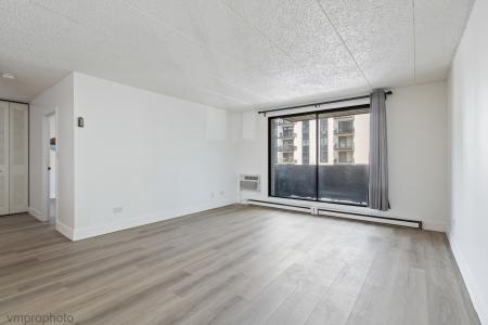 9128 W Terrace Drive , 2N, Niles, Illinois 60714, Estados Unidos