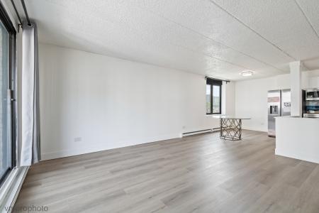 9128 W Terrace Drive , 2N, Niles, Illinois 60714, Estados Unidos