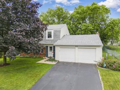 100 Ellington Drive, Schaumburg, Illinois 60194, USA