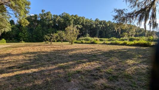 120Dunkle Snyder Rd, Crescent City, Flórida 32112, Estados Unidos