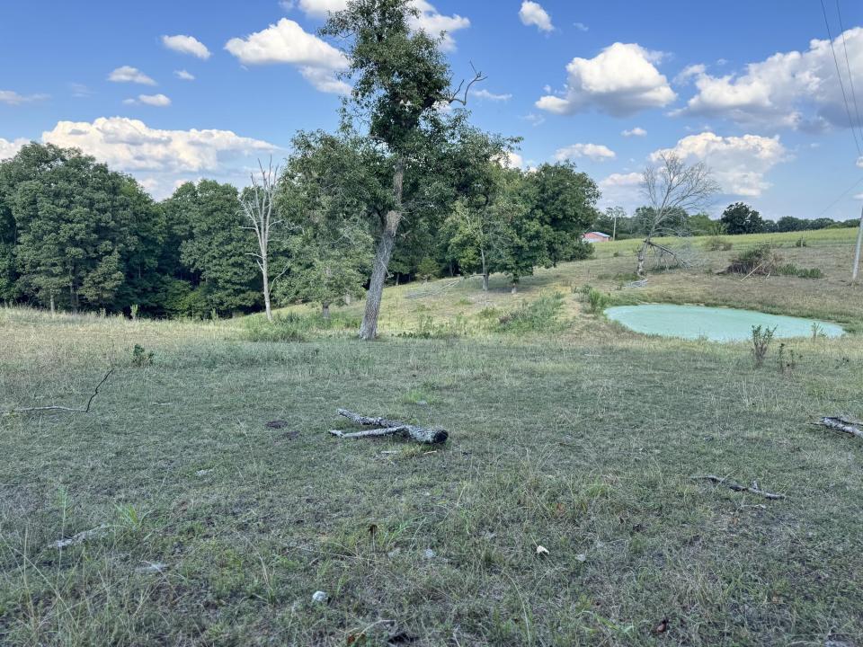 000 Center Road, Ozark, Missouri 65721, Estados Unidos